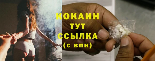 гидра Абаза