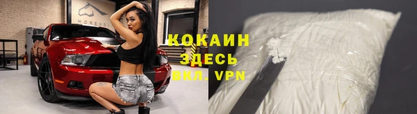 гидра Абаза