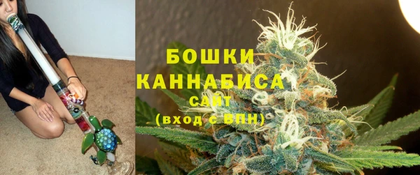 гидра Абаза